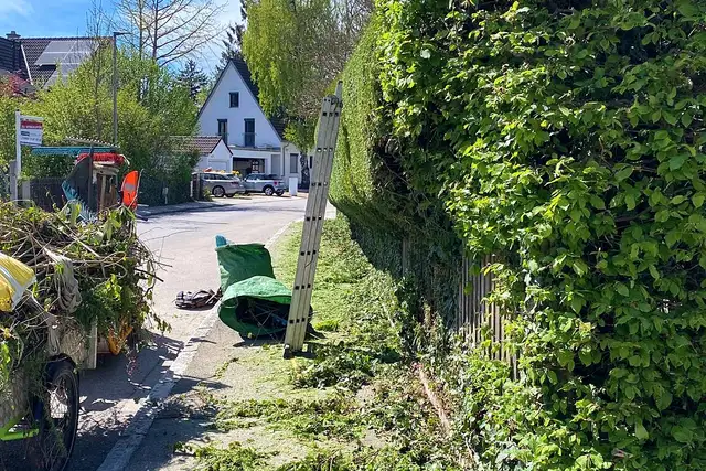 Hecke wird geschnitten, Grünschnitt auf dem Gehweg