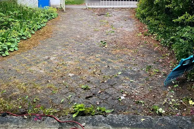 Einfahrt vorher, mit Unkraut und Moos