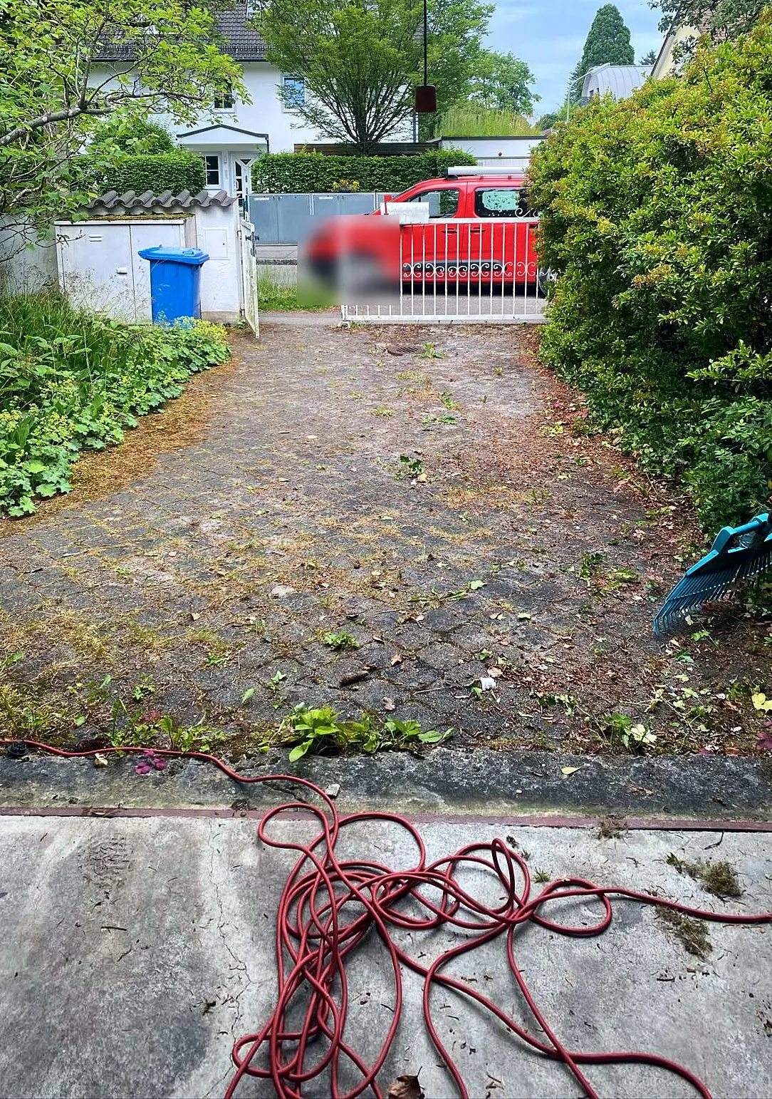 Einfahrt mit Unkraut und Moos